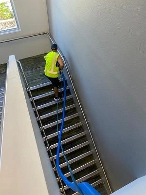 Carpet Cleaning Brisbane